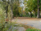 DSC04719